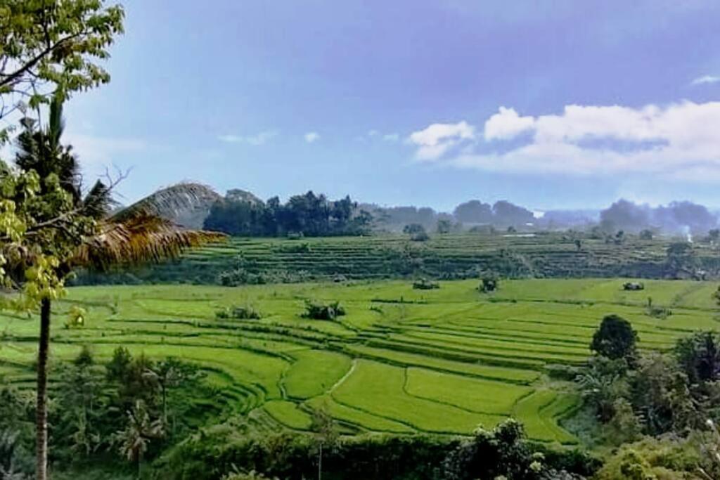 Magic Hills Bali - Magical Eco-Luxury Lodge Selat Εξωτερικό φωτογραφία